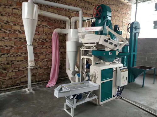 新型组合碾米机 小空间大作为，平稳运行铸就精品